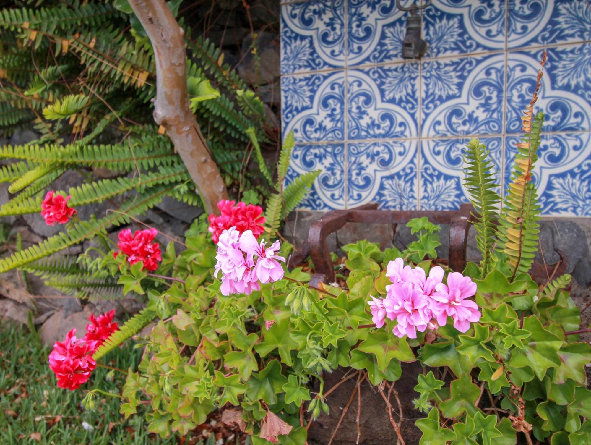 Calhau Grande Otel Arco da Calheta  Dış mekan fotoğraf